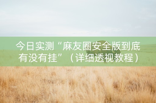 今日实测“麻友圈安全版到底有没有挂”（详细透视教程）-哔哩哔哩