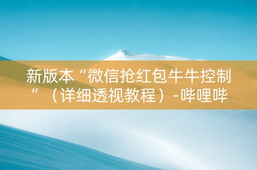 新版本“微信抢红包牛牛控制”（详细透视教程）-哔哩哔哩