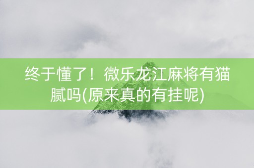 终于懂了！微乐龙江麻将有猫腻吗(原来真的有挂呢)