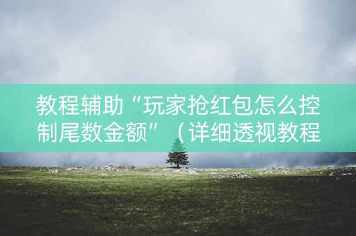 教程辅助“玩家抢红包怎么控制尾数金额”（详细透视教程）-哔哩哔哩