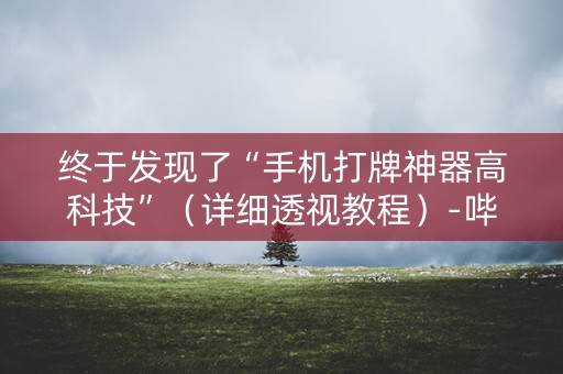 终于发现了“手机打牌神器高科技”（详细透视教程）-哔哩哔哩