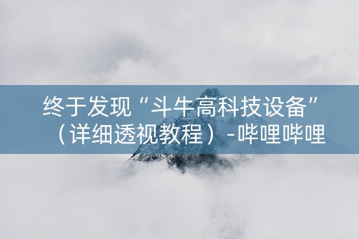 终于发现“斗牛高科技设备”（详细透视教程）-哔哩哔哩
