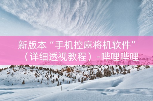 新版本“手机控麻将机软件”（详细透视教程）-哔哩哔哩