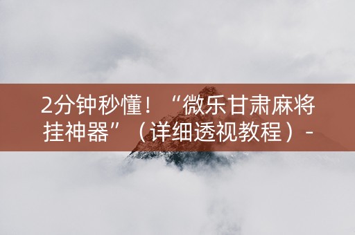 2分钟秒懂！“微乐甘肃麻将挂神器”（详细透视教程）-哔哩哔哩