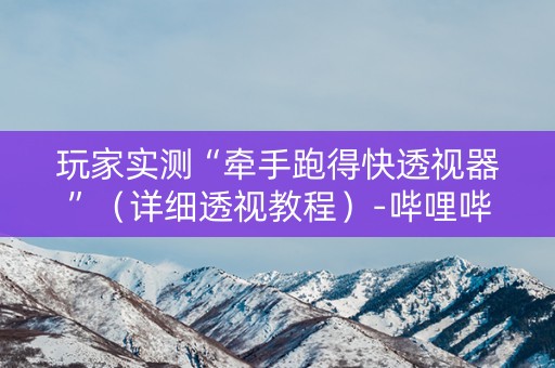 玩家实测“牵手跑得快透视器”（详细透视教程）-哔哩哔哩