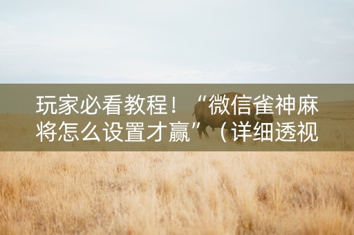 玩家必看教程！“微信雀神麻将怎么设置才赢”（详细透视教程）-哔哩哔哩