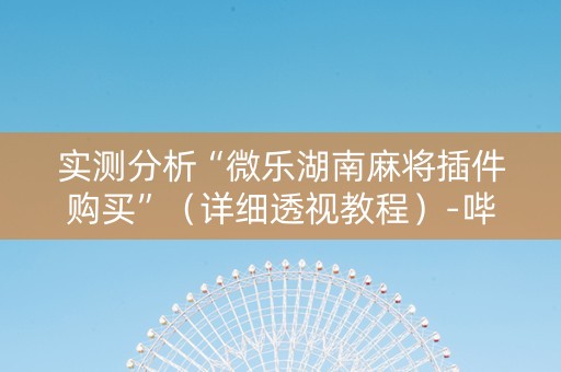 实测分析“微乐湖南麻将插件购买”（详细透视教程）-哔哩哔哩