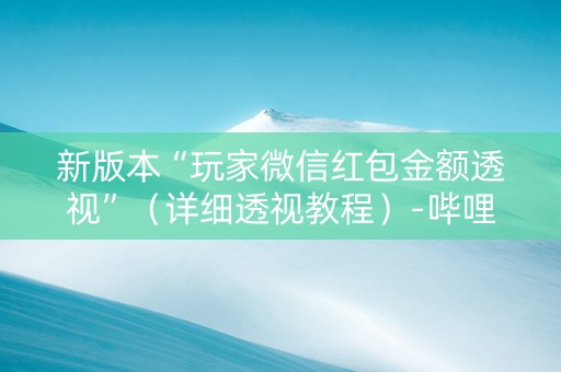 新版本“玩家微信红包金额透视”（详细透视教程）-哔哩哔哩