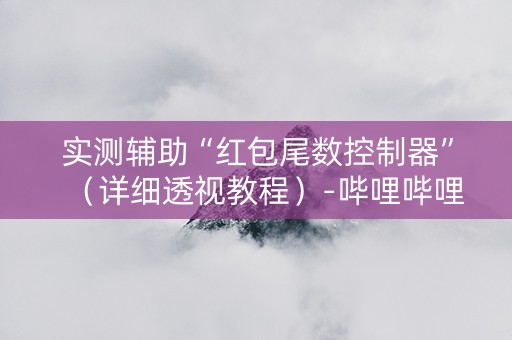 实测辅助“红包尾数控制器”（详细透视教程）-哔哩哔哩