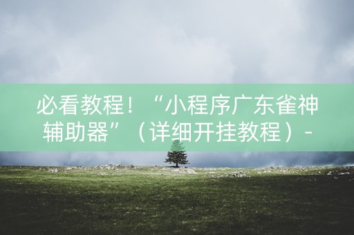 必看教程！“小程序广东雀神辅助器”（详细开挂教程）-哔哩哔哩