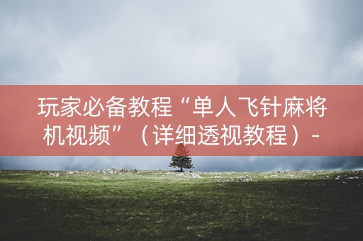 玩家必备教程“单人飞针麻将机视频”（详细透视教程）-哔哩哔哩