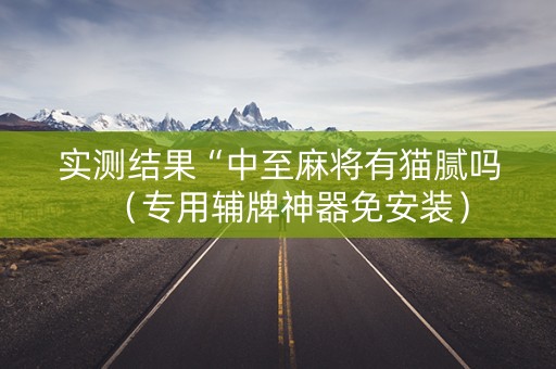 实测结果“中至麻将有猫腻吗（专用辅牌神器免安装）