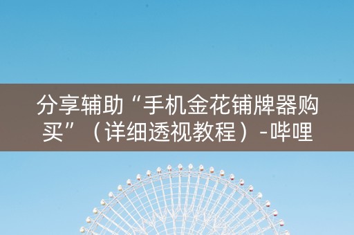 分享辅助“手机金花铺牌器购买”（详细透视教程）-哔哩哔哩