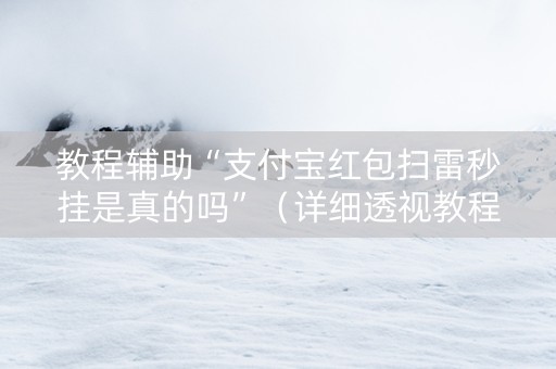 教程辅助“支付宝红包扫雷秒挂是真的吗”（详细透视教程）-哔哩哔哩