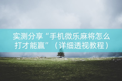 实测分享“手机微乐麻将怎么打才能赢”（详细透视教程）-哔哩哔哩