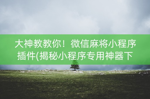 大神教教你！微信麻将小程序插件(揭秘小程序专用神器下载)