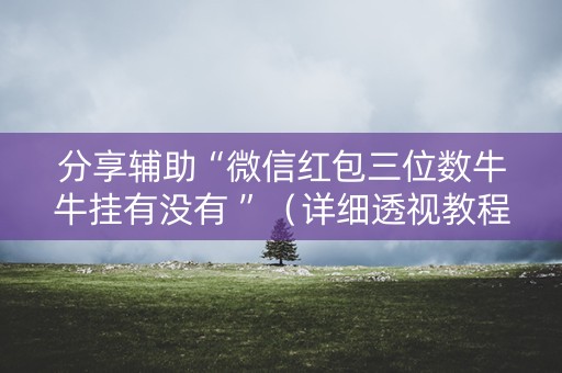分享辅助“微信红包三位数牛牛挂有没有 ”（详细透视教程）-哔哩哔哩
