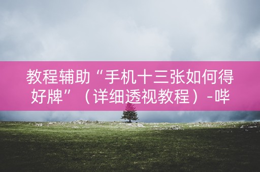 教程辅助“手机十三张如何得好牌”（详细透视教程）-哔哩哔哩