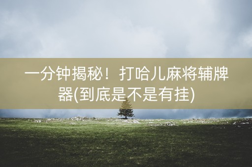一分钟揭秘！打哈儿麻将辅牌器(到底是不是有挂)