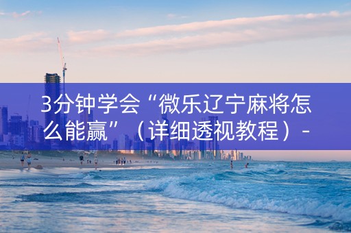 3分钟学会“微乐辽宁麻将怎么能赢”（详细透视教程）-哔哩哔哩