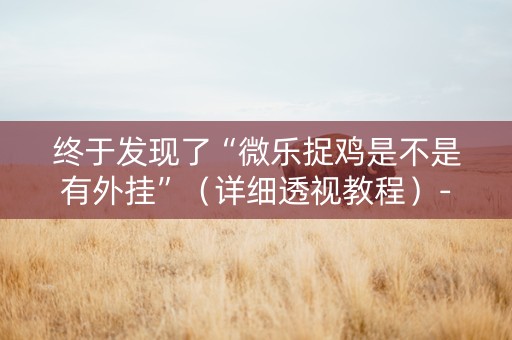 终于发现了“微乐捉鸡是不是有外挂”（详细透视教程）-哔哩哔哩