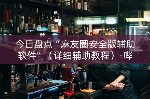 今日盘点“麻友圈安全版辅助软件”（详细辅助教程）-哔哩哔哩