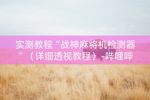 实测教程“战神麻将机检测器”（详细透视教程）-哔哩哔哩