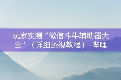 玩家实测“微信斗牛辅助器大全”（详细透视教程）-哔哩哔哩