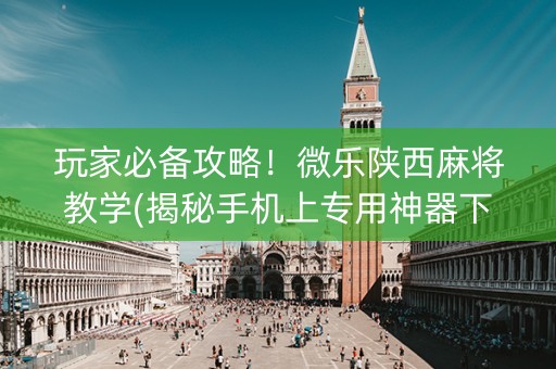 玩家必备攻略！微乐陕西麻将教学(揭秘手机上专用神器下载)