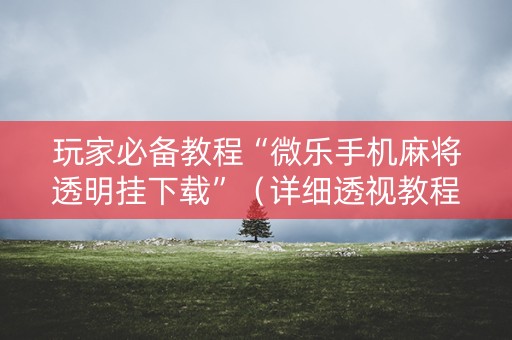 玩家必备教程“微乐手机麻将透明挂下载”（详细透视教程）-哔哩哔哩