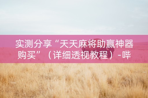 实测分享“天天麻将助赢神器购买”（详细透视教程）-哔哩哔哩