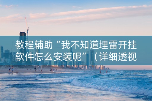 教程辅助“我不知道埋雷开挂软件怎么安装呢”（详细透视教程）-哔哩哔哩
