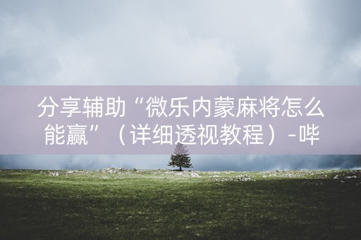 分享辅助“微乐内蒙麻将怎么能赢”（详细透视教程）-哔哩哔哩