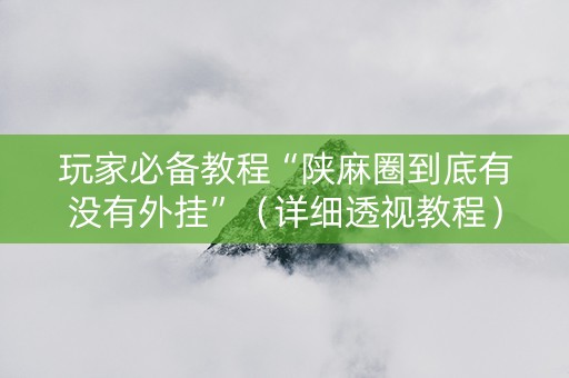 玩家必备教程“陕麻圈到底有没有外挂”（详细透视教程）-哔哩哔哩
