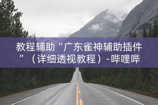 教程辅助“广东雀神辅助插件”（详细透视教程）-哔哩哔哩