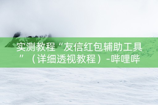 实测教程“友信红包辅助工具”（详细透视教程）-哔哩哔哩