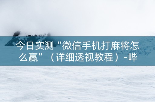 今日实测“微信手机打麻将怎么赢”（详细透视教程）-哔哩哔哩