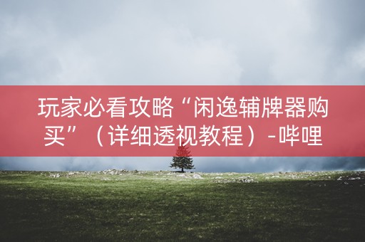 玩家必看攻略“闲逸辅牌器购买”（详细透视教程）-哔哩哔哩
