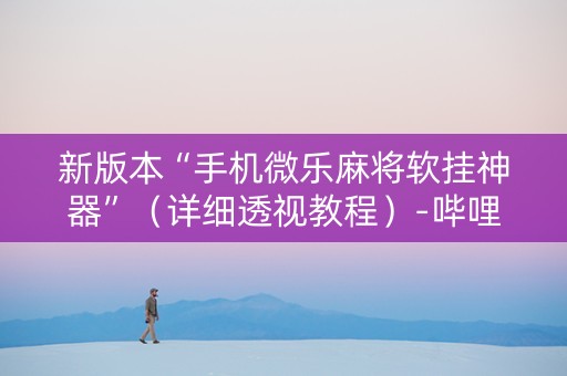 新版本“手机微乐麻将软挂神器”（详细透视教程）-哔哩哔哩