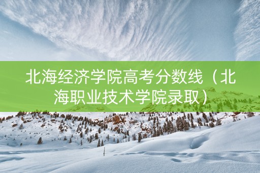 北海经济学院高考分数线（北海职业技术学院录取）