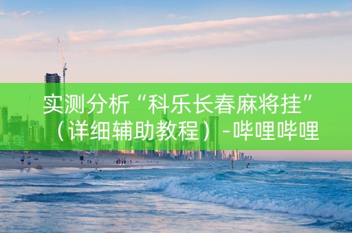 实测分析“科乐长春麻将挂”（详细辅助教程）-哔哩哔哩