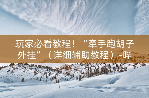 玩家必看教程！“牵手跑胡子外挂”（详细辅助教程）-哔哩哔哩