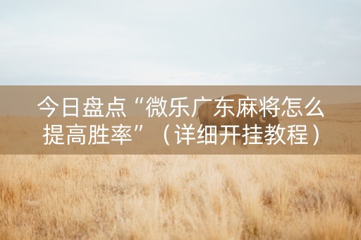 今日盘点“微乐广东麻将怎么提高胜率”（详细开挂教程）-哔哩哔哩