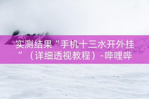 实测结果“手机十三水开外挂”（详细透视教程）-哔哩哔哩