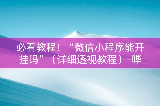 必看教程！“微信小程序能开挂吗”（详细透视教程）-哔哩哔哩