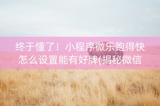 终于懂了！小程序微乐跑得快怎么设置能有好牌(揭秘微信里输赢规律)