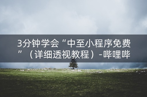 3分钟学会“中至小程序免费”（详细透视教程）-哔哩哔哩