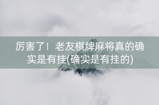 厉害了！老友棋牌麻将真的确实是有挂(确实是有挂的)