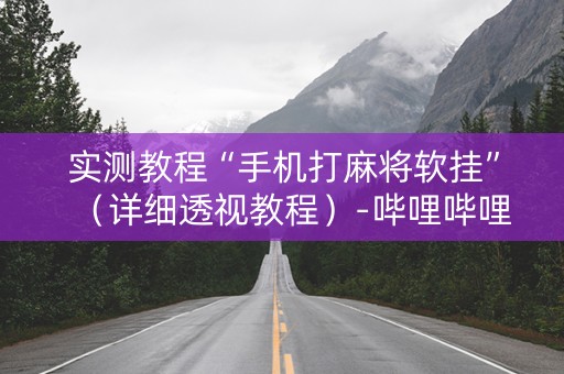 实测教程“手机打麻将软挂”（详细透视教程）-哔哩哔哩