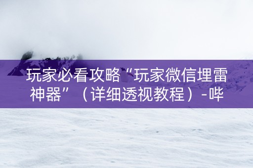 玩家必看攻略“玩家微信埋雷神器”（详细透视教程）-哔哩哔哩